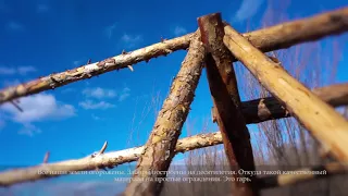 Ферма "Тологой" (Кижингинский район) Сокто Цыдыпова