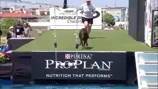 Fetch It 1st Place - Incredible Dog Challenge 2015 Huntington Beach, CA