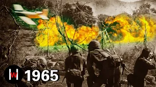 Battle of Ia Drang, Vietnam War, 1965  Deadly Raid by U.S. Air Cavalry！
