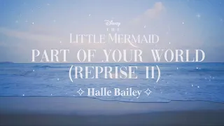 Halle Bailey - Part Of Your World (Reprise II) ✧ Loop | The Little Mermaid ✧