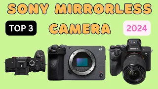 Top 3 Best Sony Mirrorless Cameras For Videographers In 2024