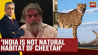 Watch What Wildlife Expert Valmik Thapar Said On Cheetahs Dying In India: 'Ill-Advised Project'