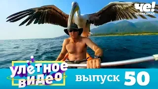 Улетное видео | Выпуск 50