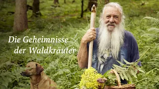 Die Geheimnisse der Waldkräuter - Helfer, Heiler und Rebellen