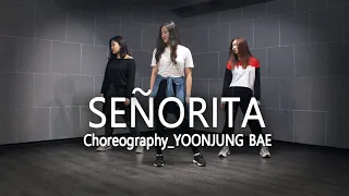1시간에 연습부터 촬영까지 끝내기!!  Señorita(세뇨리따)_배윤정(YOONJUNG BAE) Choreography X 지연(JI YEON) | Mirrored 거울모드