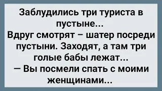 Три Туриста и Шатер с Бабами в Пустыне! Сборник Свежих Анекдотов! Юмор!