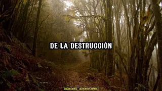 Megadeth - Symphony Of Destruction / Sub Español.