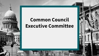 Common Council Executive Committee: Meeting of March 16, 2021