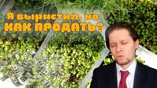 Кому продавать? Микрозелень 2023 бизнес в квартире / миллион на микрозелени как и кому продать