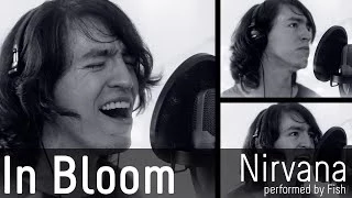 In Bloom Cover - Nirvana (a capella, 2014)