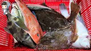 Assorted Seafood Sashimi Songdo Fish Market Pohang Korea 포항 송도 활어회센터 해물모듬회 25 etc
