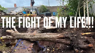 Lidl Parkside Petrol Chainsaw Review & My Battle With A Large Cherry Tree