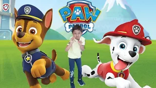 Paw Patrol Live Show | Chase and Marshall | Paw Patrol Stage Show