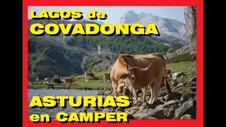 ✔️VERANO 2022.  ⛰️LAGOS DE COVADONGA⛰️. ASTURIAS EN CAMPER. AITANA VIAJERA