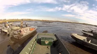 Pro Drive vs Dual Gator Tail