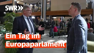 Hinter den Kulissen im EU-Parlament – Wie läuft europäische Politik? | Zur Sache! Baden-Württemberg