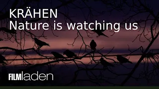 KRÄHEN - Nature is watching us - Teaser
