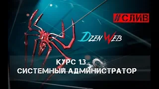 Курс 1.3 Системный администратор