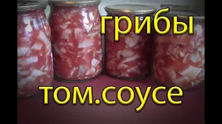 Грибы вешенки в томатном соусе на зиму