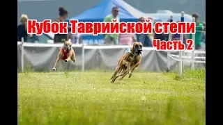 КУБОК ТАВРИЙСКОЙ СТЕПИ | Часть 2