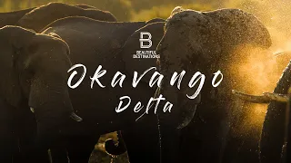 Botswana’s Okavango Delta - Heaven on Earth