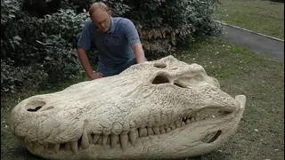 Largest Crocodile Skull Ever