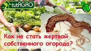 ПАРАЗИТЫ В ОГОРОДЕ. Как не стать жертвой собственного огорода? Глисты вокруг нас!