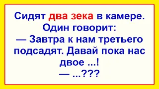 Самые Свежие Смешные Анекдоты для Настроения! Отличная Подборка Жизненных Анекдотов! Юмор!