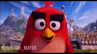 ANGRY BIRDS  ОЗВУЧКА   ОЗВУЧКА ОТ ДЖАВИДА