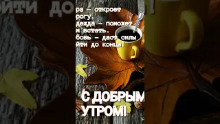 С ДОБРЫМ ОСЕННИМ УТРОМ !