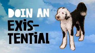 A Little More Existentialism From Bunny The Talking Dog | What About Bunny