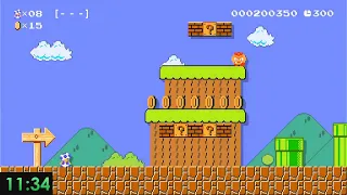 Super Mario Maker 2 Endless Mode in 17:22 (normal)