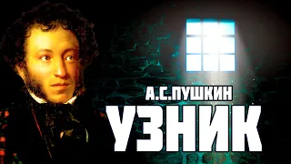 Стихотворение «Узник» А. С. Пушкин. Поэтическая тетрадь