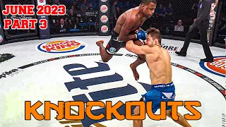 MMAs Best Knockouts of the June 2023 HD Part 3