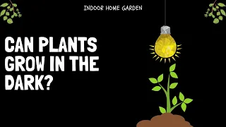 Can Plants Grow In The Dark?