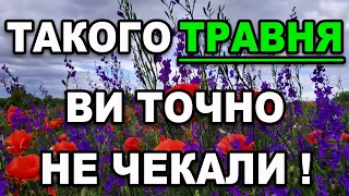 ТРАВЕНЬ 2024 ЩО ВАРТО ОЧІКУВАТИ? Прогноз погоди на ТРАВЕНЬ в Україні