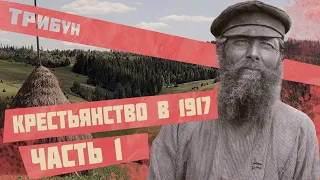 ПОЧЕМУ КРЕСТЬЯНЕ УЧАСТВОВАЛИ В РЕВОЛЮЦИИ 1917? |