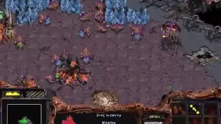 StarCraft: Brood War Speedrun