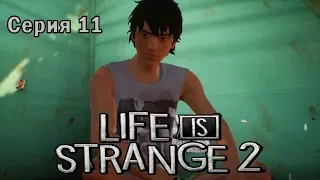 LIFE IS STRANGE 2 Прохождение - Эпизод 3 - Серия 11