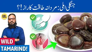 Pahari Imli Ke Fawaid! Mountain Tamarind Benefits | Dr. Ibrahim