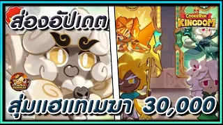 CookieRun Kingdom สุ่มคุกกี้แฮแทเมฆา  30,000 เพชร & ส่องอัปเดตใหม่ !!