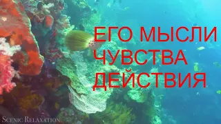 ЕГО МЫСЛИ ЧУВСТВА ДЕЙСТВИЯ