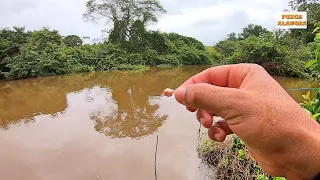 Quer PEGAR MUITO PIAU? essa isca não FALHA. Pescaria Caipira