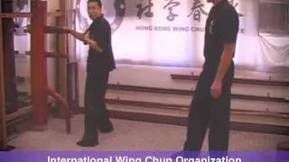 Wing Chun wooden dummy