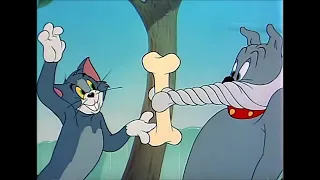 Tom and Jerry - The Framed Cat