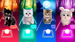 CUTE CATS WEDNESDAY LADY GAGA BLOODY MARY vs BLACKPINK LISA MONEY vs JISOO FLOWER vs IMAGINE DRAGONS