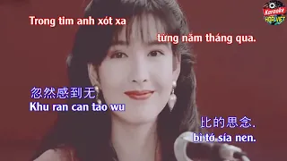 HOA VIỆT KARA | Karaoke Nhạc Hoa Có Ai Nói Yêu Em Chưa Vietsub - Trần Sở Sinh