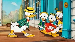 DONALD DUCK & Chip and Dale Cartoons New Episodes ! Disney Mickey Mouse, Pluto Bee Live 24/7