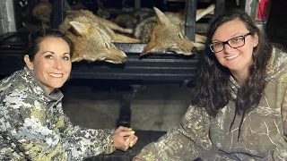 Coyote hunting, Lady’s Night~(Thermal Hunting Coyotes and pigs with Tactical Pursuit