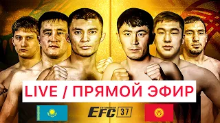 EFC 37 Казахстан / Оскемен. ПРЯМАЯ ТРАНСЛЯЦИЯ / ТYЗ ЭФИР